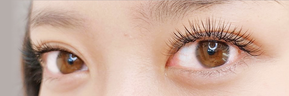 PERFECT LASH